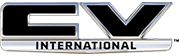 International CV